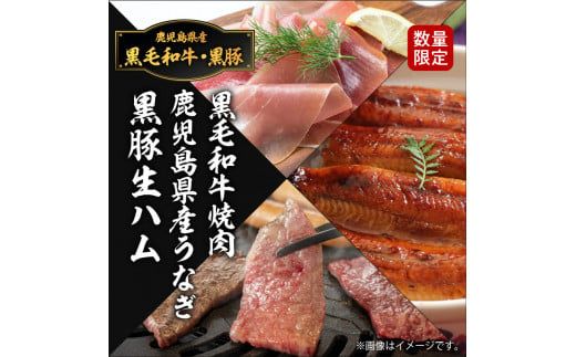 黒豚・黒毛和牛・うなぎ　鹿児島味の極み便A（焼肉）　 K086-013