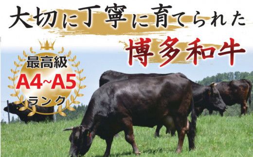 【全12回定期便】【和牛の旨味を堪能！】博多和牛焼肉用 500g《築上町》【株式会社MEAT PLUS】[ABBP035]