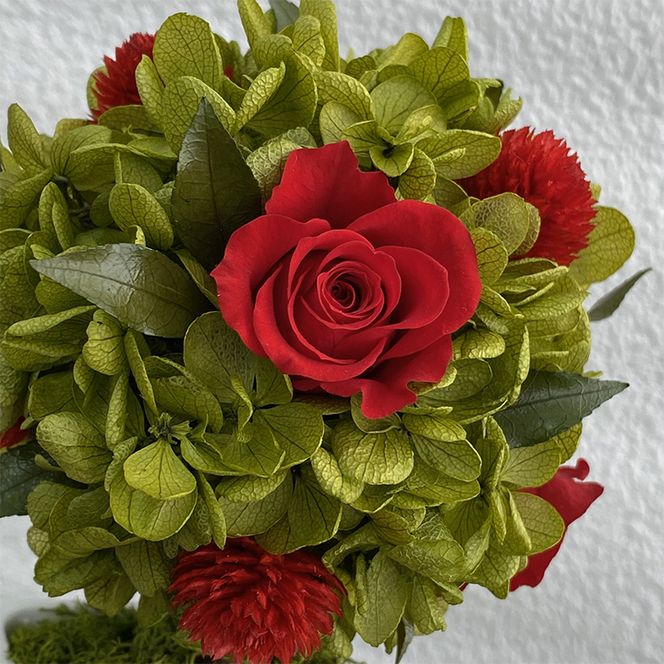 AJ184-1 プリザーブドフラワー【プティシュシュ/レッド】春日部市 シュガーパイン