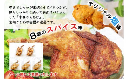 ＜半身からあげ5本セット(塩味×3本 スパイス味×2本)＞準備でき次第翌々月までに順次発送【a0032_hi】
