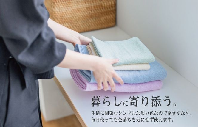 099H1667 驚きの高吸水タオル『プレーン』フェイスタオル 12枚セット【泉州タオル 国産 吸水 普段使い シンプル 日用品】