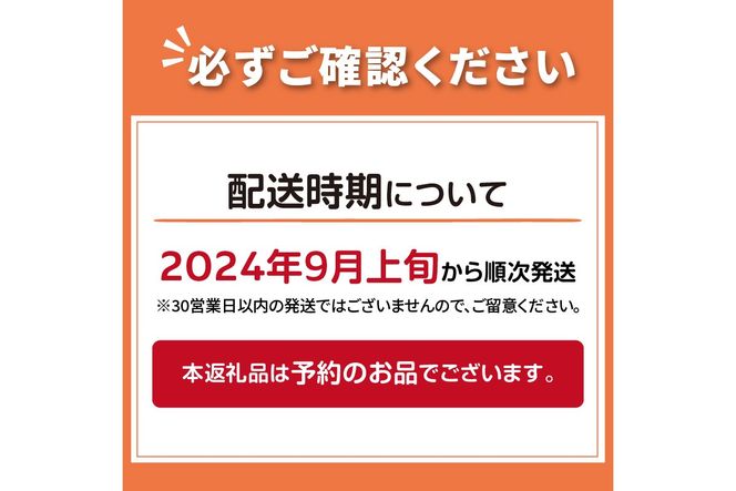 【予約：2024年9月上旬から順次発送】【期間限定】 オホーツクビール バラエティ 6本セット まるごと北海道 ( 地ビール 限定 飲料 お酒 ビール 瓶ビール 北海道 )【028-0018-2024】