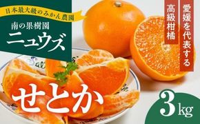 【先行予約受付中】産地直送！愛媛県産せとか 3kg ※2025年2月下旬～3月下旬頃に順次発送予定 ≪柑橘 みかん ギフト≫