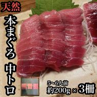 104-2280　貴重な天然本鮪 中トロ 約200g 3柵　5〜6人前●くどくない上質な脂が美味しい！【とろ マグロ 惣菜 海鮮 お取り寄せ 御中元 お中元 お歳暮 父の日 母の日 贈り物 日本酒 焼酎】【神奈川県小田原市早川】