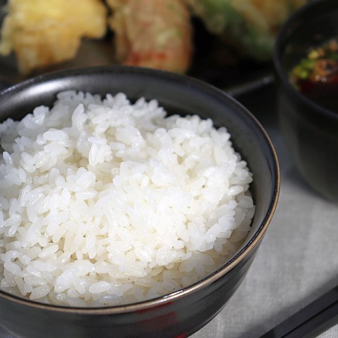 AL-2b 特別栽培米 垂井町産 ハツシモ 5kg