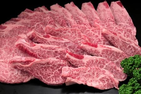 【訳あり】佐賀牛ヒレ焼き肉用600g【牛肉 牛 佐賀牛 不揃い 焼肉 ヒレ 切り落とし 600g】(H065139)