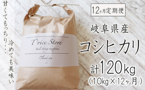 BE-18b-R7 【１２カ月定期便】岐阜県産コシヒカリ 10kg(合計１２０kg)