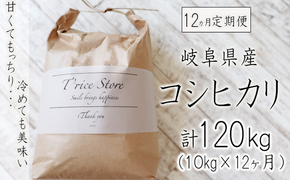 BE-18b 【１２カ月定期便】岐阜県産コシヒカリ 10kg(合計１２０kg)