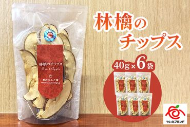 林檎のチップス6袋入り｜リンゴ りんご ドライフルーツ お菓子 おやつ スイーツ  [0390]