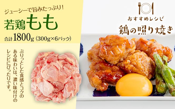 宮崎県産 若鶏 もも・むね 切り身 小分けパック 合計5.4kg_M241-005