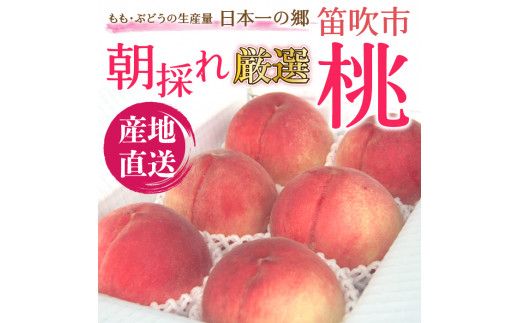 【2026年発送★先行予約】笛吹市産　厳選! 旬の桃 約2kg (5~8玉) 205-001-26y