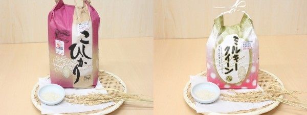 都留市産こしひかり、ミルキークイーン食べ比べセット