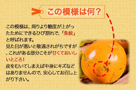 50年以上の歴史を持つ『ハヤトファーム』の太秋柿! 《10月上旬-10月末頃出荷》シャキシャキ食感とすっきり後味 約2.5kg～3kg 5-8玉前後 予約受付中 フルーツ 秋 旬 柿 ---gkt_hyt_2_2500g---