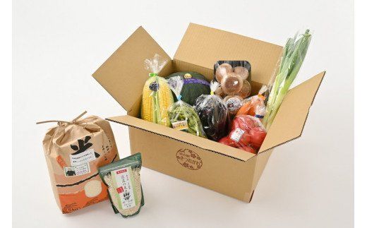 さくら市産の農産物詰め合わせDX≪野菜 旬の野菜 米 栃木県≫◇