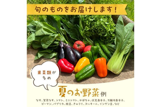 【定期便】合計12回お届け　有機野菜・京野菜の『京都やおよし』のお野菜＆牛乳900ml×2本の詰め合わせ　AA00052