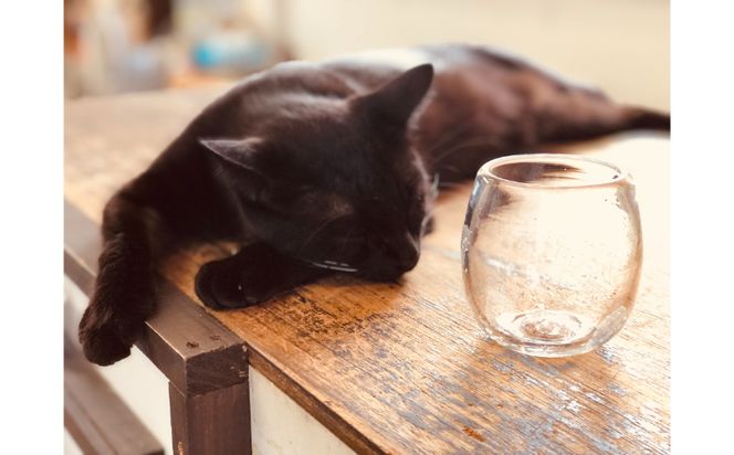 【琉球ガラス工房雫】水玉タルグラス１個