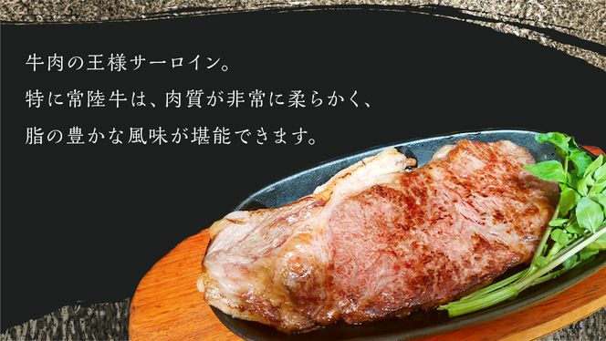 y錧΂݂炢szy 헤 z A5 T[C ubN Iׂe 4kg (錧ʕԗi) Y Xe[L Ă ubN  ₫ɂ q^`ME Ђイ uh uh Y јa a Yјa  A5N [BX119-NT]