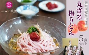 紀州南高梅肉使用　丸ざる梅うどん5食セット　T135