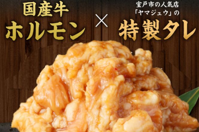 ヤマジュウの特製タレ漬け！国産牛ホルモン９００ｇ　yj063