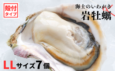 【のし付き】海士のいわがき 新鮮クリーミーな高級岩牡蠣 殻付きLLサイズ×7個 