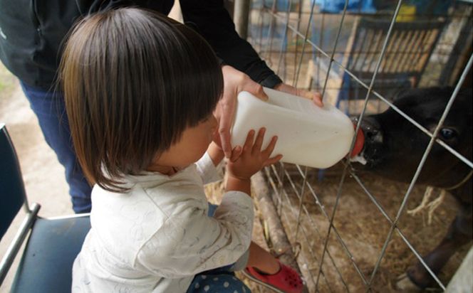 やんばるの自然の中で牧場体験！【1泊朝食付き】（4名様）