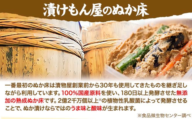 ぬか床カンタンセット (ぬか床 容器 調味料 セット) 樽の味 《90日以内に出荷予定(土日祝除く)》 和歌山県 日高川町 ぬか ぬかどこ ぬか漬け ぬか漬けセット ぬか床セット 容器 簡単 手作り 無添加---wshg_tra35_90d_26_9000_s---