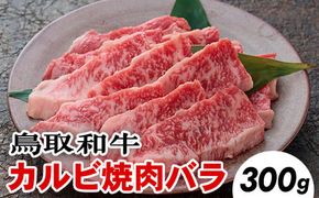 鳥取和牛カルビ焼肉バラ(300g) ※着日指定不可 ※離島への配送不可