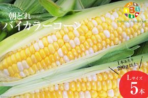 BG033 【令和9年度出荷分】 5月から出荷！「朝どれバイカラーコーン！」L×5本セット
