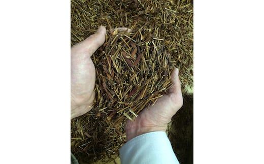 E063 カワラケツメイ茶茶葉　100g　2個セット