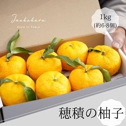 富士を望む「穂積の柚子」1kg(2023年分先行受付)