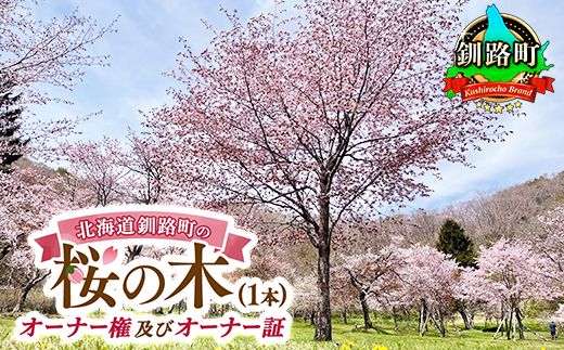 北海道釧路町の桜の木(1本)のオーナー権及びオーナー証[植樹開催&プレートお届け時期:2025年5月ごろ] ふるさと納税 桜 さくら 自然 保護 植樹体験 体験 北海道 先行予約 結婚 誕生 就職 退職 記念 想い出 121-