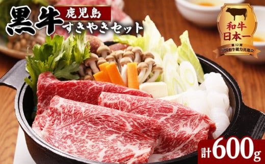 yszic-101j₫Zbg v600@K127-004