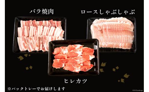 豚肉 宮崎県産 豚のトンカツ・焼肉・しゃぶしゃぶセット 計1.4kg [ミヤチク 宮崎県 日向市 452061589] 肉 ヒレ ロース バラ 冷凍
