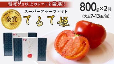 【 先行予約 】 てるて姫 小箱 約800g × 2箱 【7～13玉/1箱】 糖度9度 以上 野菜 フルーツトマト フルーツ トマト とまと [AF039ci]
