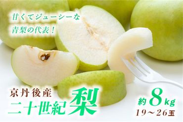 【先行予約／数量限定30】甘～ぃ！ジューシー！！青梨の王様 京丹後産 二十世紀梨 8kg（19～26玉）（2024年9月上旬～発送）　20世紀 二十世紀 国産 なし ナシ 梨 2024フルーツ ふるーつ 果物 くだもの 農家応援 生産者応援 YK00104