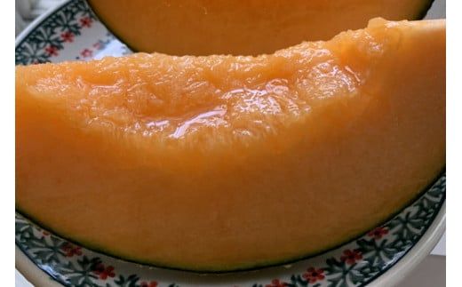 【先行予約】オリジナルブランド藤右衛門メロン2玉 芳醇な薫り緻密な果肉 爽やかな甘みをぜひお楽しみください ※離島への配送不可 ※2026年5月下旬～6月下旬頃に順次発送予定