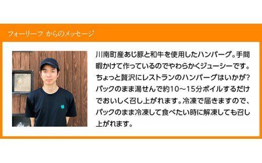 ハンバーグ まちの洋食屋さんの手作りハンバーグセット 【 加工品 惣菜 詰め合わせ 】 ☆[C01208]