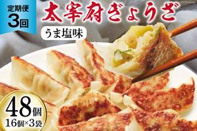 【3回 定期便 】 太宰府ぎょうざ《うま塩味》48個(16個×3袋)×3回 総計144個 / 太宰府ぎょうざ六九 / 福岡県 筑紫野市 [21760491] 餃子 ぎょうざ ギョウザ 冷凍 国産にんにく 国産豚肉 惣菜