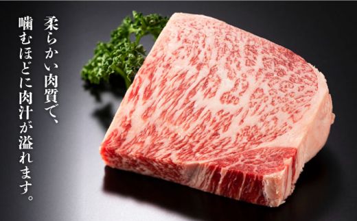 【訳あり】博多和牛 サーロイン ステーキ セット 5kg（250g×20枚）《築上町》【株式会社MEAT PLUS】[ABBP065]