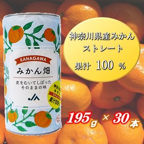 JA直送100%みかんジュース「みかん畑」