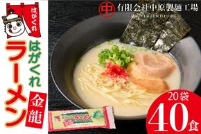 はがくれラーメン「金龍」 2食×20袋入り 【麺 調味油 お歳暮 お中元 スープ 棒ラーメン 夜食 間食 土産 冬 のり付き ノンフライ チキンスープ スパイシー】(H045102)