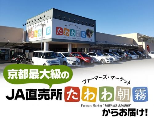 【定期便】令和5年産 米 5kg 6ヶ月 京都丹波産 コシヒカリ 白米＜JA京都 たわわ朝霧＞ 6回定期便 5kg×6回 計30kg 毎月発送に合わせて精米