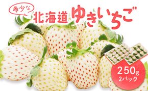 【受注後、随時発送！】【北海道産】ゆきいちご（白いちご） 2Pセット 250g×2 計500g 苺 イチゴ 白いちご 一季成りイチゴ ゆきぼたん パールホワイト 希少 高級 ギフト お取り寄せ ふるさと納税 北海道 中標津【59001】