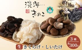 【D-709】共栄精密　淡海きのこ　生きのこセット 生きくらげ・生しいたけ（よかもんパッケージ入り）［高島屋選定品］