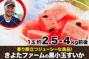 『きよたファーム』の黒小玉すいか2玉セット 1玉約2.5-4kg前後 熊本県玉名郡玉東町『きよたファーム』すいか フルーツ 果物 熊本県産《7月上旬-8月中旬頃出荷》---sg_kfkodama_ae7_25_12500_2p---