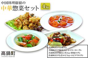 ＜中国料理 樹樹の中華惣菜セット＞翌月末迄に順次出荷【c381_kk_x1】