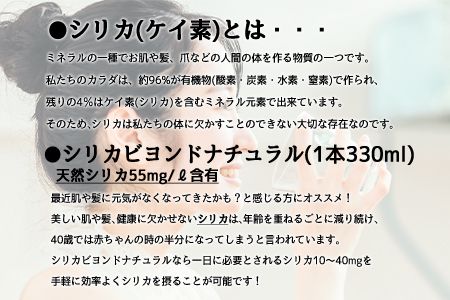 シリカビヨンドナチュラル330ml×20本入 ルーシッド株式会社 《90日以内に出荷予定(土日祝を除く)》 熊本県南阿蘇村 天然水---sms_rusidnatur_90d_r7_13000_20i---