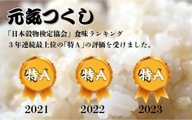 【先行予約】【全3回定期便】福岡県産【特A】評価のお米「元気つくし」5kg×2袋 [10kg] [玄米]【2024年11月下旬以降順次発送】《築上町》【株式会社ベネフィス】[ABDF118]