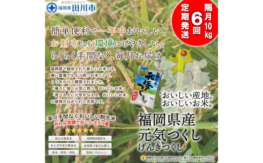 【定期便/隔月】　福岡県産元気つくし 無洗米 10kg×6回 お取り寄せグルメ　お取り寄せ 福岡 お土産 九州 ご当地グルメ 福岡土産 取り寄せ グルメ 福岡県 食品