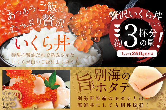 【250g×1パック 4回 お届け】 4ヵ月 定期便 漁協 直送！本場「北海道」 いくら 醤油漬け【NKM04NQ05】